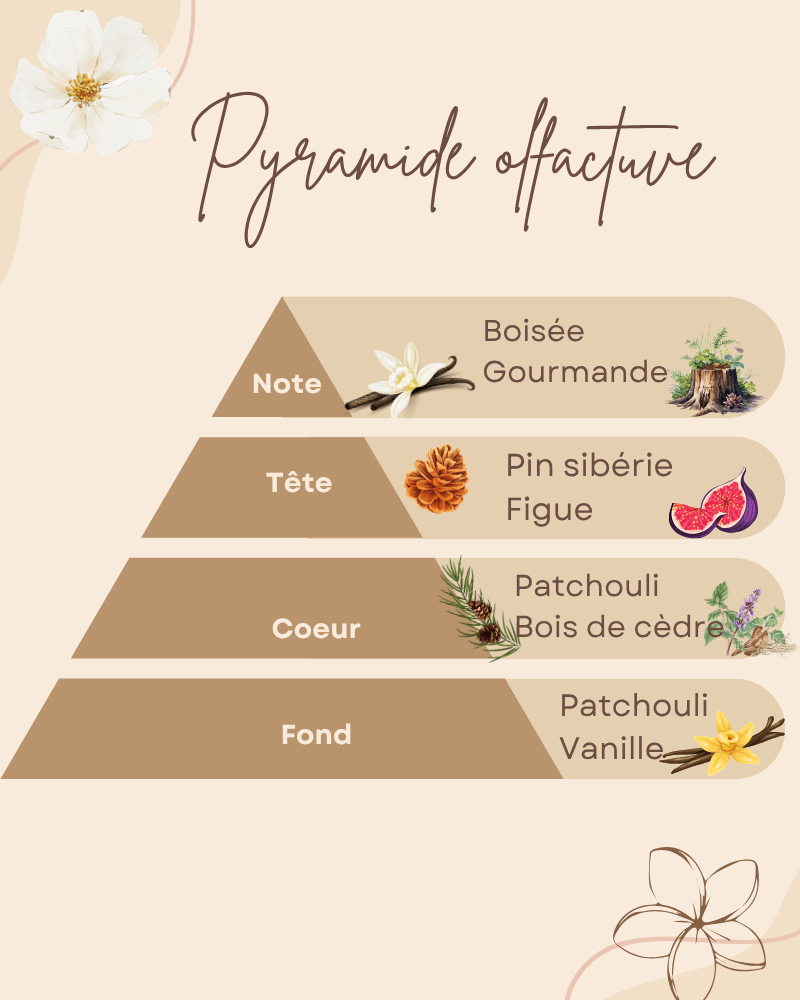 Pyramide olfactive