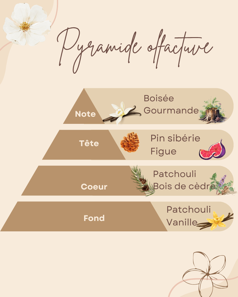 Pyramide olfactive