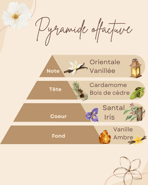 Pyramide Olfactive
