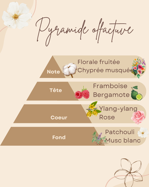 Pyramide olfactive
