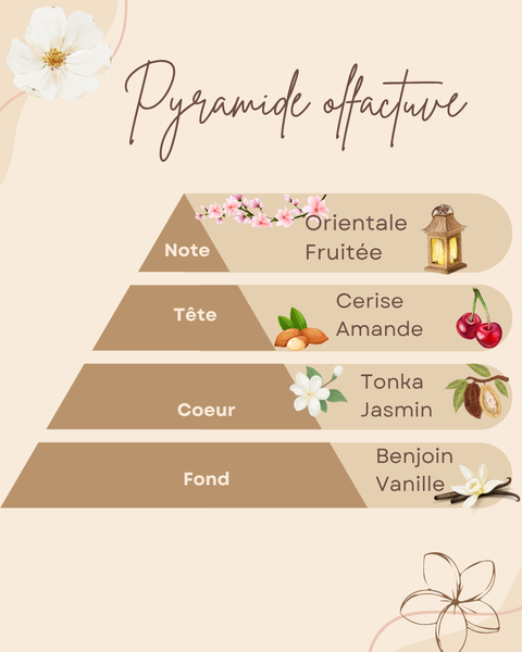 Pyramide olfactive