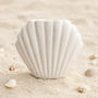 Brûleur Coquillage