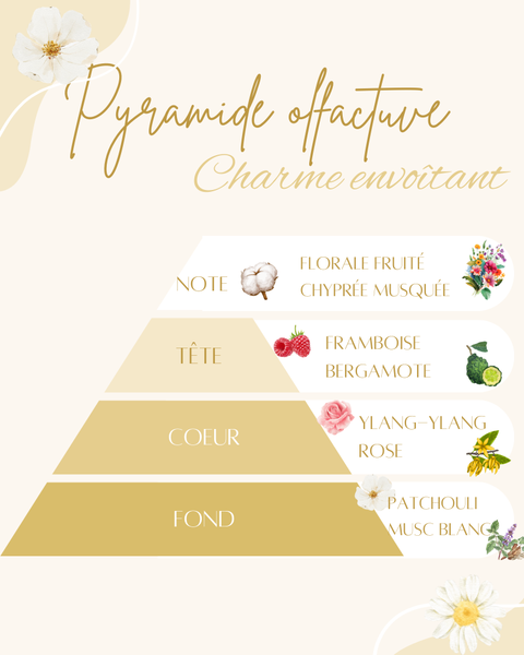 Pyramide olfactive