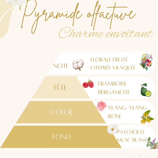 Pyramide olfactive