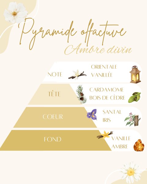 Pyramide olfactive