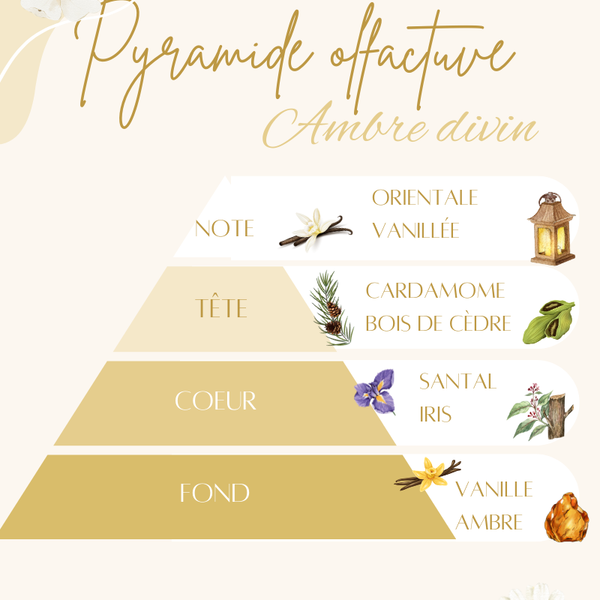Pyramide olfactive