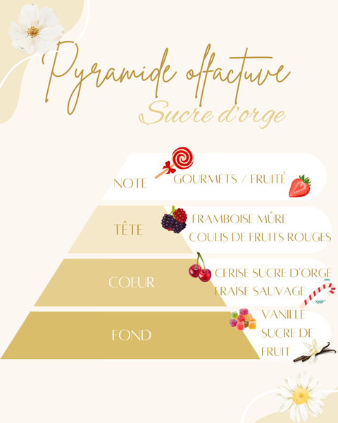 Pyramide olfactive