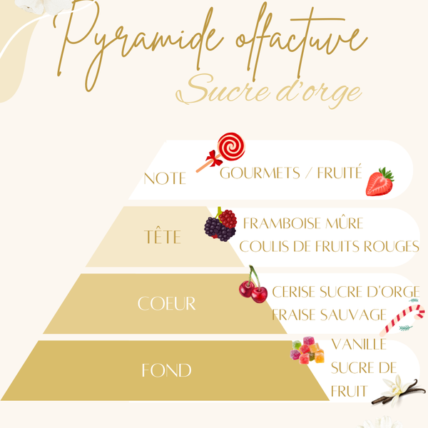 Pyramide olfactive