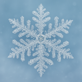 flocon de neige