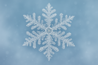 Flocon de neige